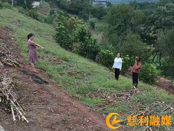 7b6a71fdf7e8accdf114f1316ef85a64.jpg 7b6a71fdf7e8accdf114f1316ef85a64.jpg