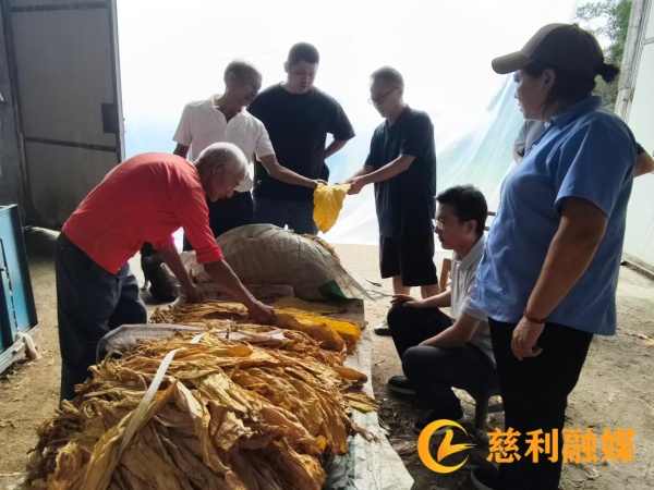 微信图片_20260807105102_1183_3.jpg