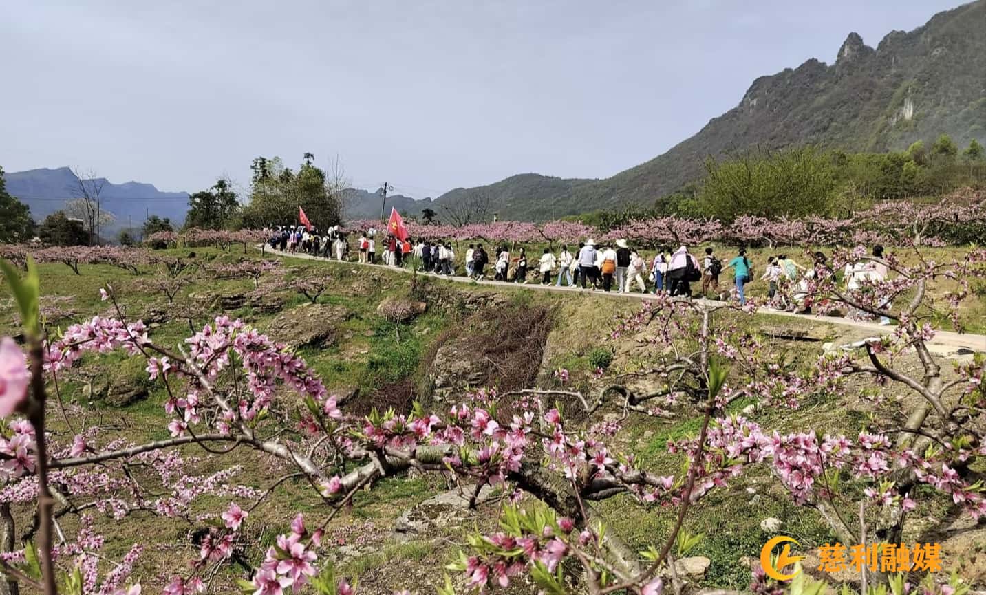 春游2.jpg