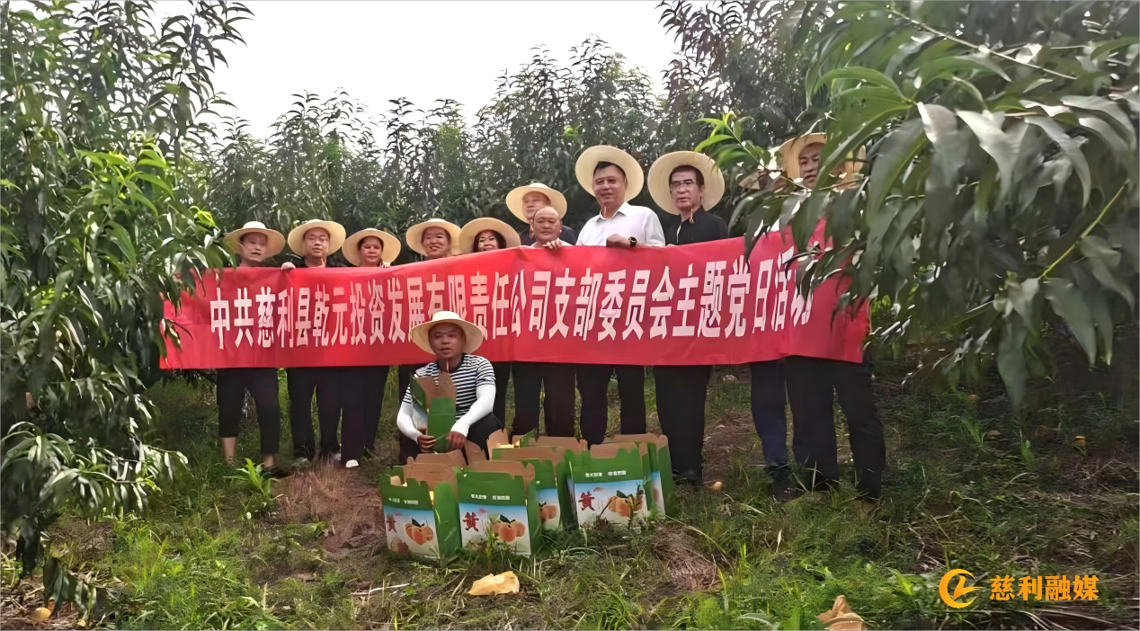 WPS图片(1).png