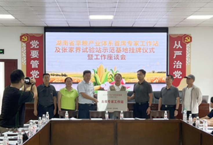 湖南首个旱粮产业体系首席专家工作站落户慈利