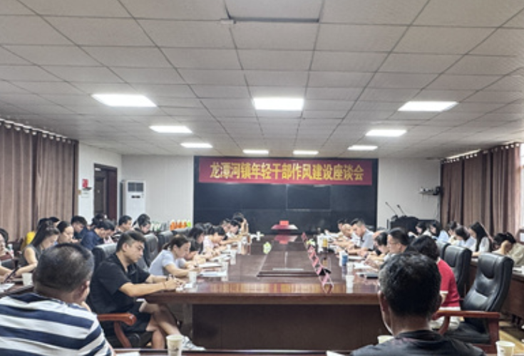 青春砺廉正作风，龙潭扬帆建新功——龙潭河镇召开年轻干部作风建设座谈会
