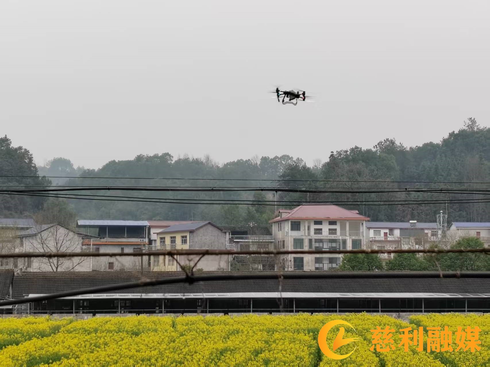 微信图片_20250310160610.jpg