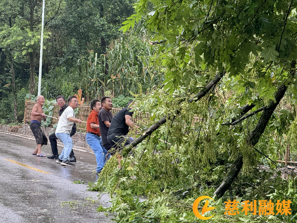 微信图片_2025-07-23_082809_037.jpg