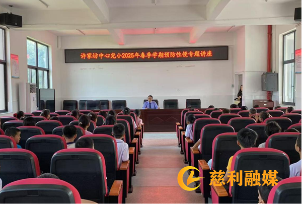 张露新闻2.png