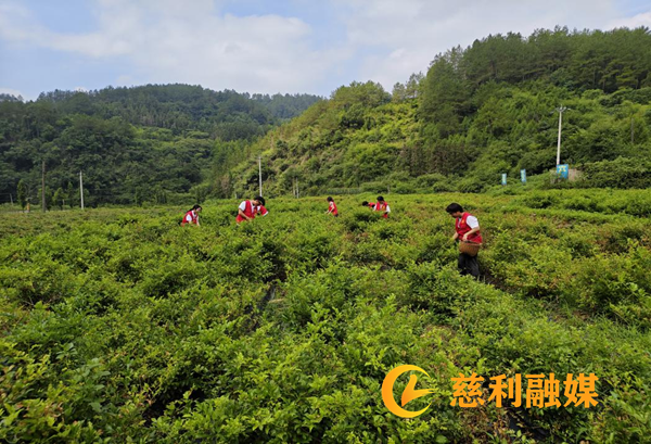 红岩村2.png