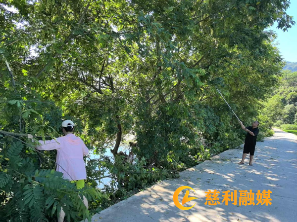 南庄村2.png