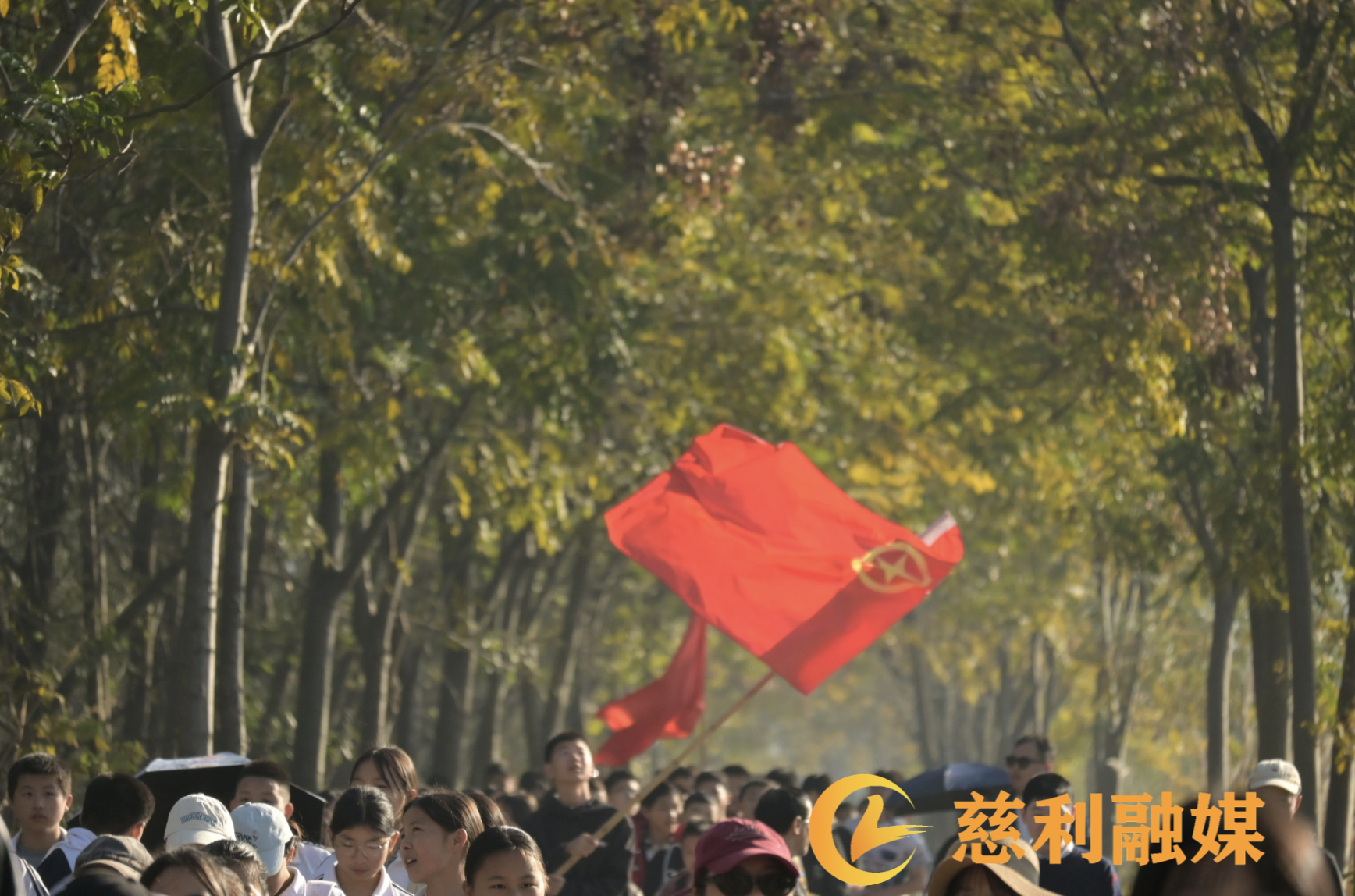 截屏2025-11-28 14.40.10.png