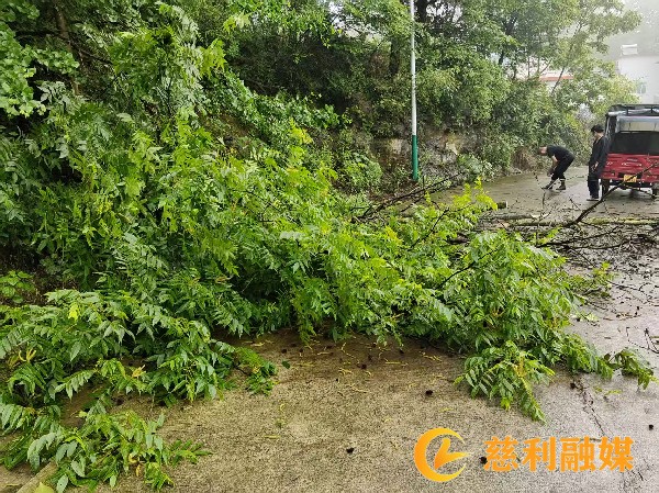 44bc64531de433901d1dd8efa2564e92_副本.jpg 44bc64531de433901d1dd8efa2564e92_副本.jpg