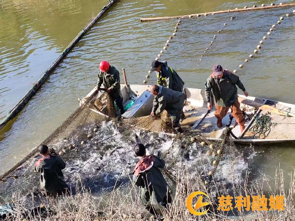 1_慈利.jpg 1_慈利.jpg