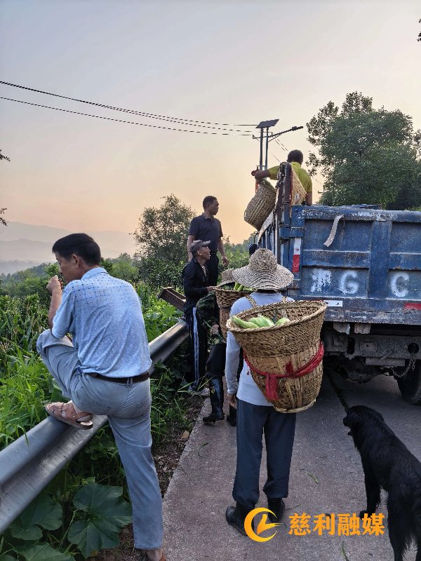 微信图片_20260717090518_113_141 (1).jpg 微信图片_20260717090518_113_141 (1).jpg