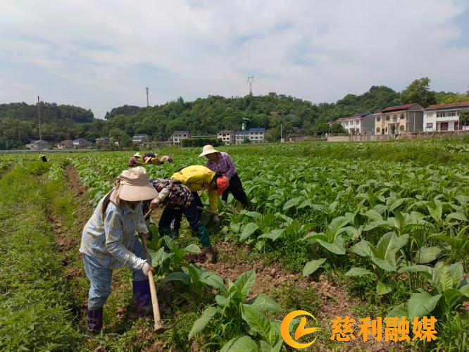 图片9_副本.png