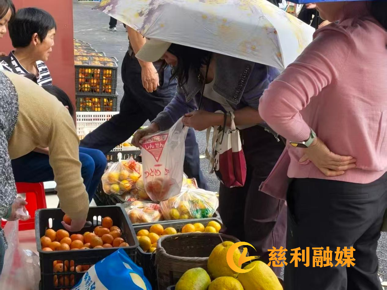 图片6 (1).jpg