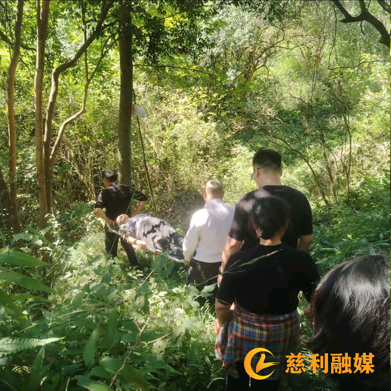 图片6.png