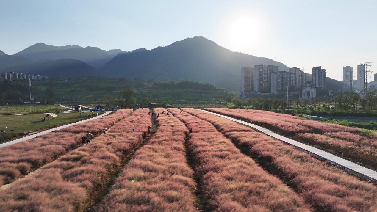 据悉，该地块曾被尾砂矿污染，成了一块废地。在2012年启动启动秧溪河治理后地块闲置多年，后经招商引资，变成了如今的“遇见花田”城市农场。