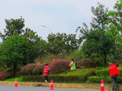 苏仙城管接力高新区治理 精准施策绘就宜居新图景