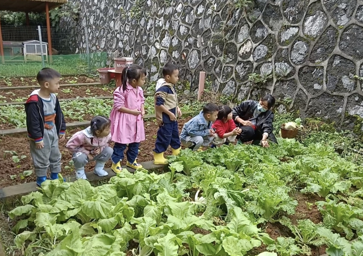 微信图片_20251111095028_24_204.jpg 微信图片_20251111095028_24_204.jpg