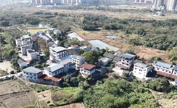 优秀人大代表风采丨何禹：修通民心路 架起连心桥