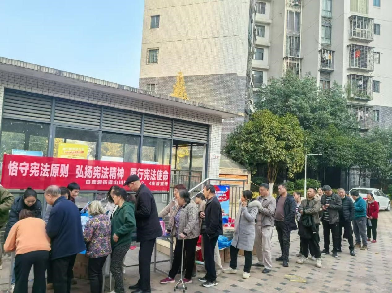 白鹿洞街道山川塘社区开展国家宪法日宣传活动