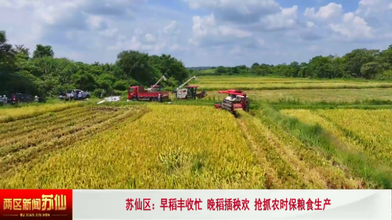 苏仙区：早稻丰收忙 晚稻插秧欢 抢抓农时保粮食生产