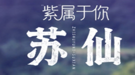 “紫”属于你，苏仙~