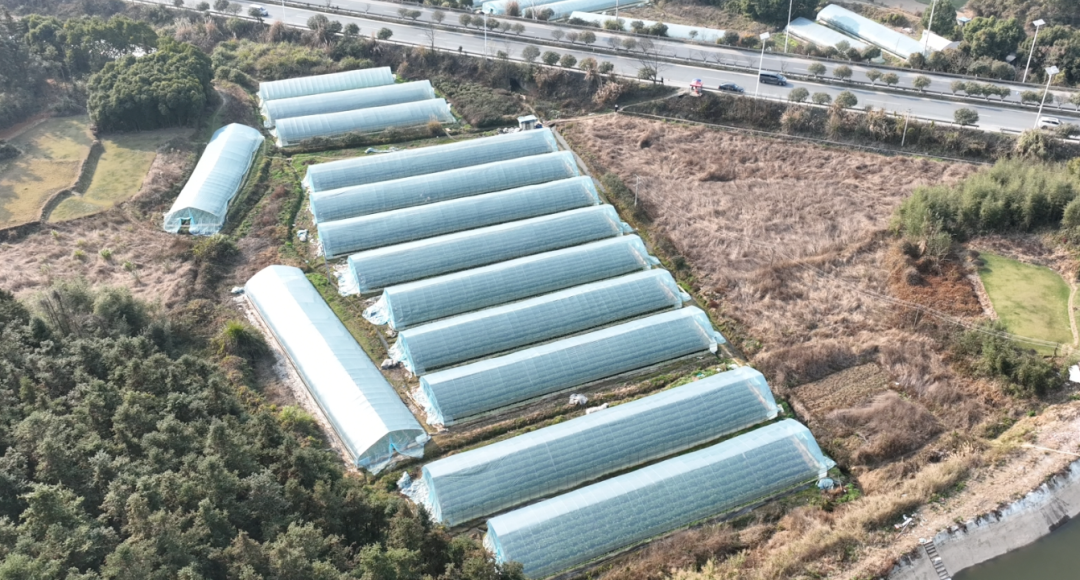 冬日限定甜蜜！苏仙新添一好去处！