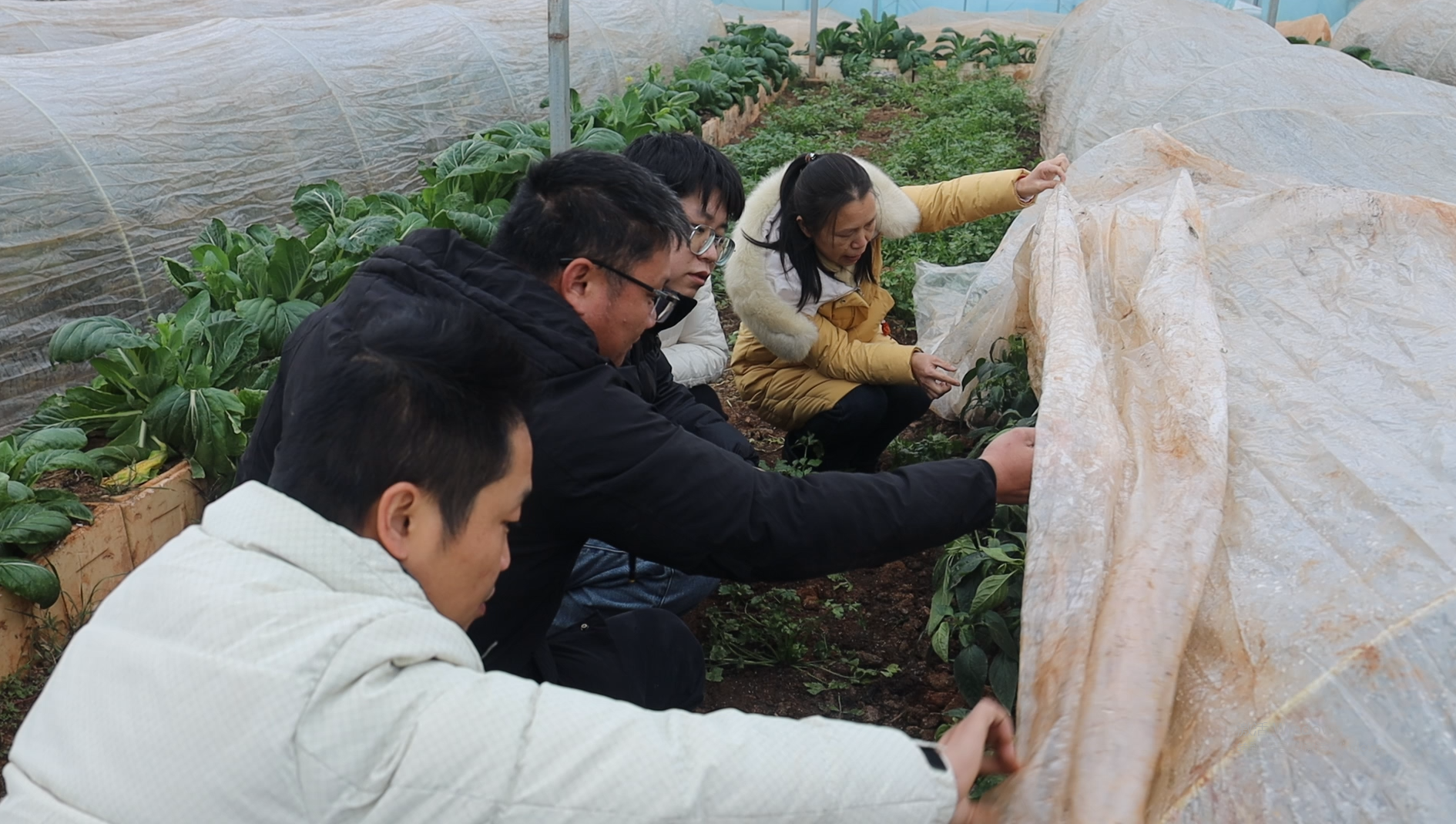 微信图片_20260129145524_135_61.png 微信图片_20260129145524_135_61.png