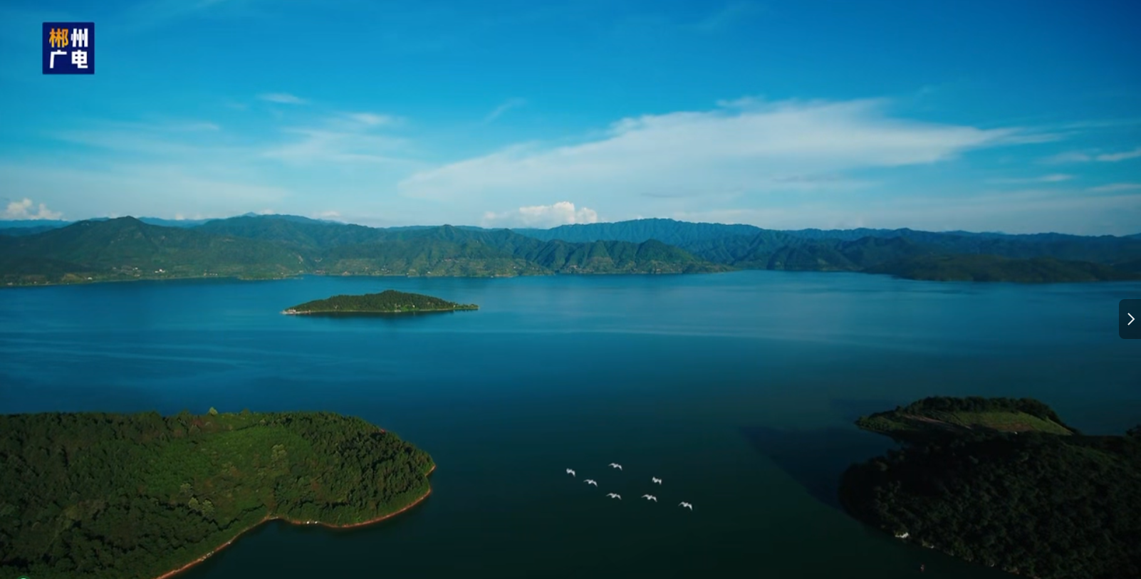 爱鸟护鸟 守护蓝天精灵