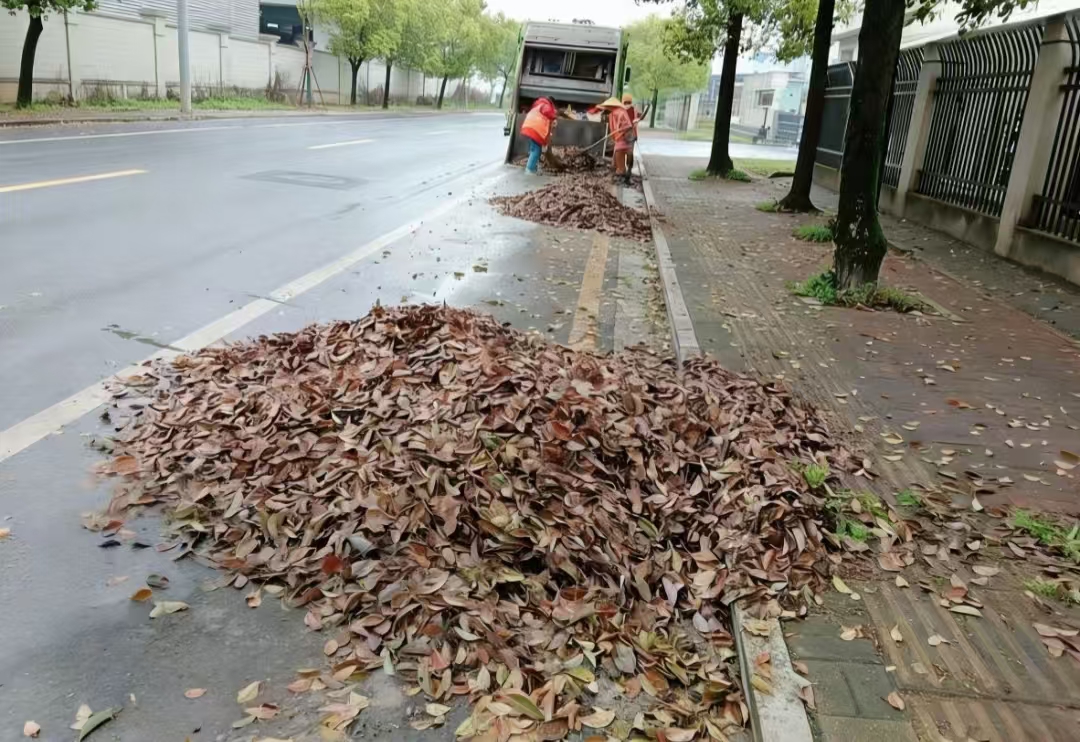 052B085E@A17DAF2C.8419CA6900000000.jpg 052B085E@A17DAF2C.8419CA6900000000.jpg