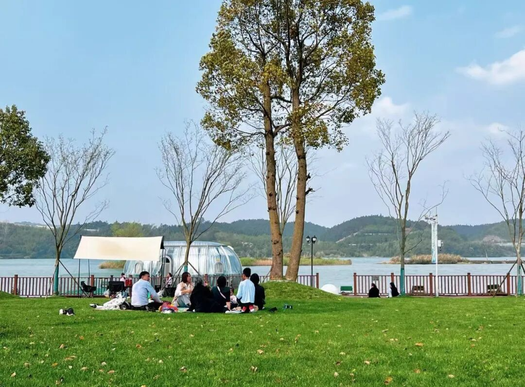 免费草坪+竹筏游江，苏仙这个踏青地藏不住了