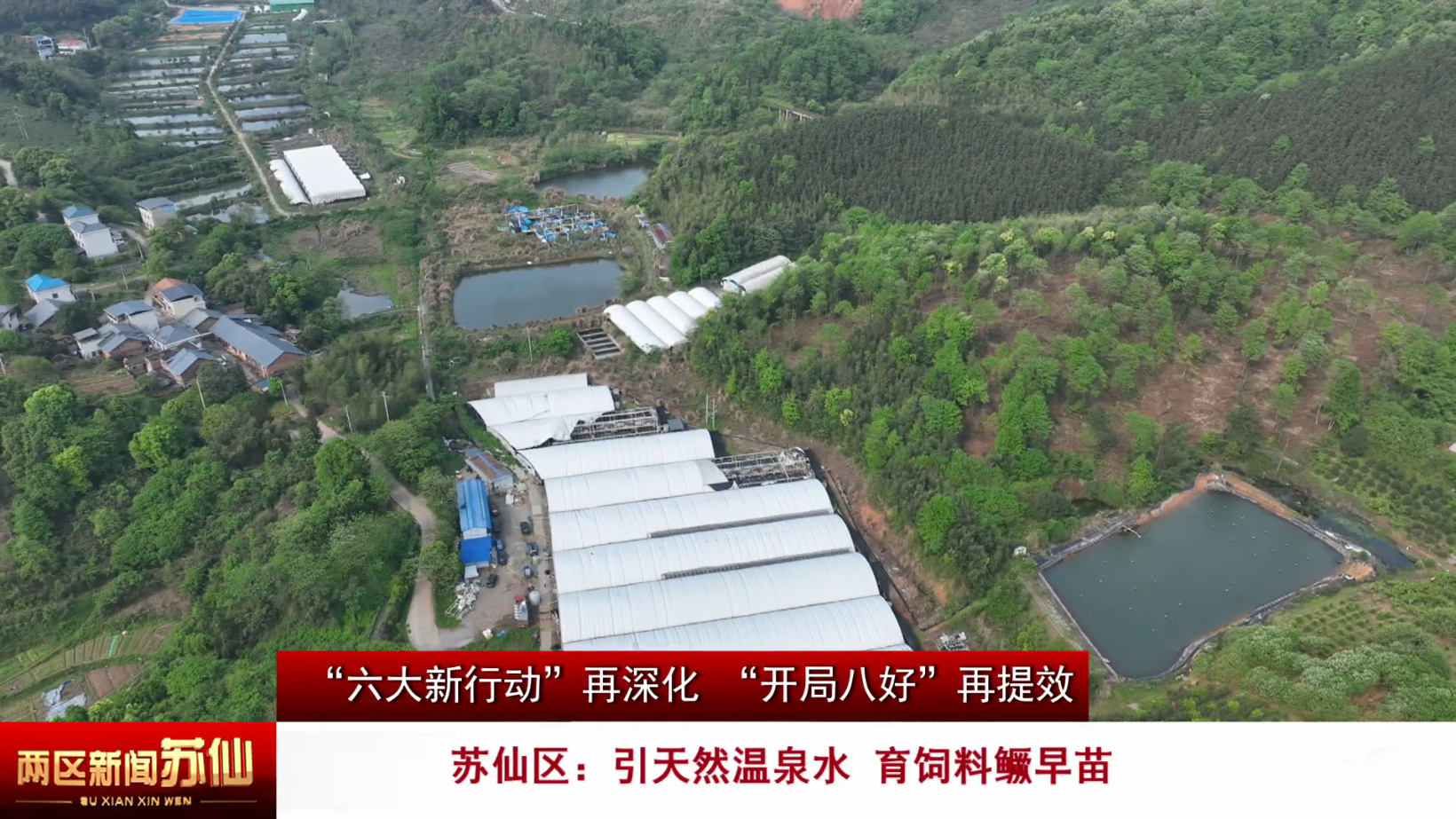 【“六大新行动”再深化 “开局八好”再提效】苏仙区：引天然温泉水 育饲料鳜早苗