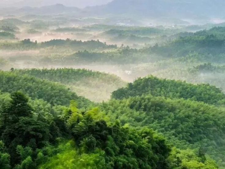 避暑首选！高山秘境+向日葵花海，赶紧冲！