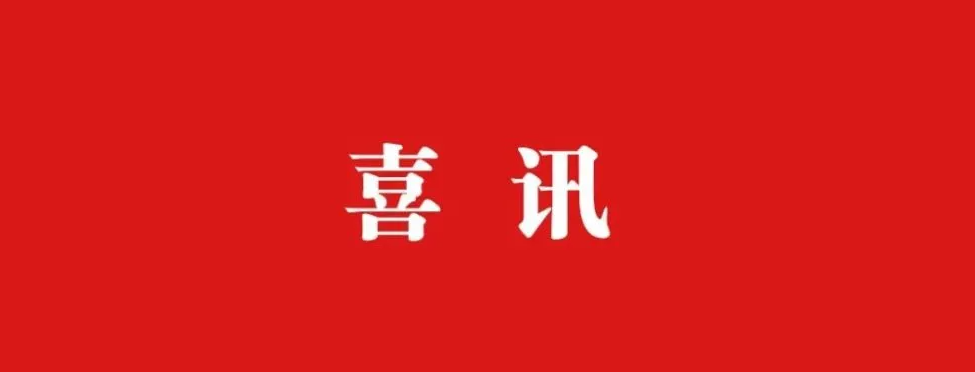 优秀！省级一等奖！