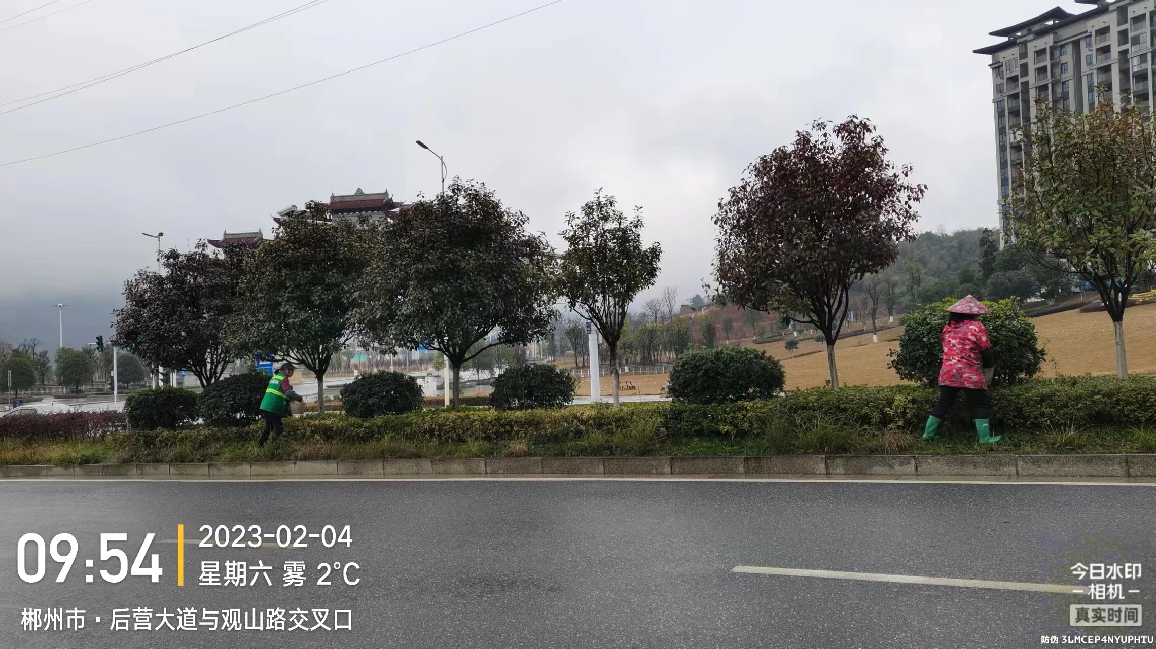0204 后营大道施肥1.jpg