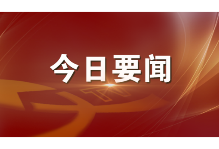 2026年第8次南县人民政府党组（扩大）会议召开