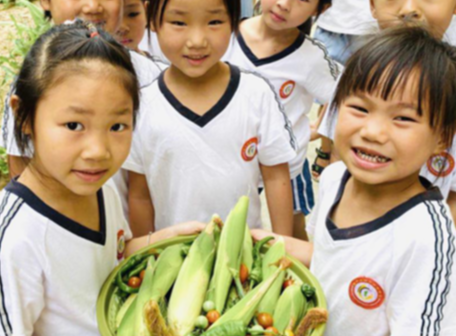 靖州县第三幼儿园采摘乐