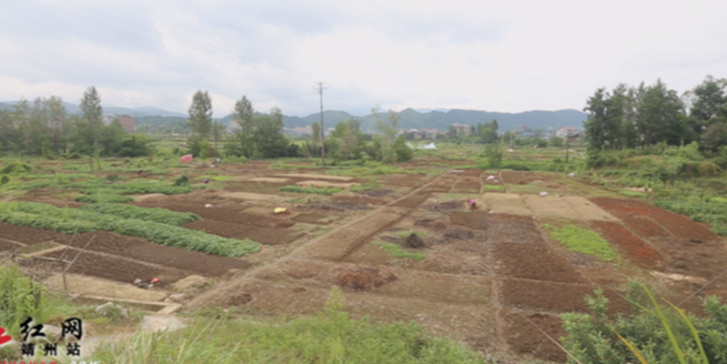 靖州田铺新村：秋播秋种正当时