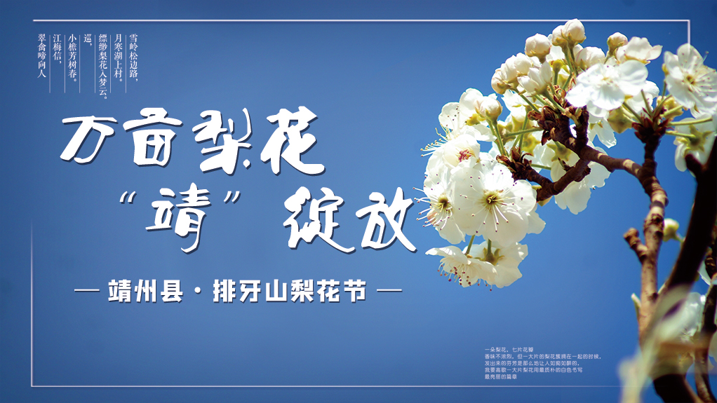 【专题】2023“靖州县·排牙山梨花节”