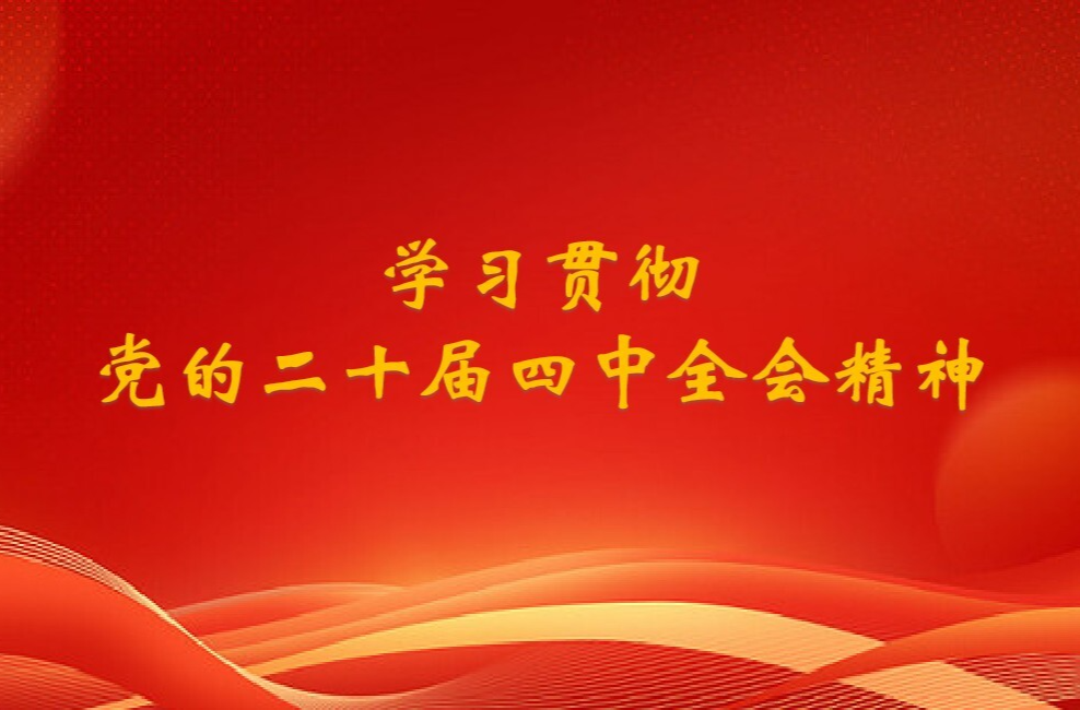 【专题】学习贯彻党的二十届四中全会精神