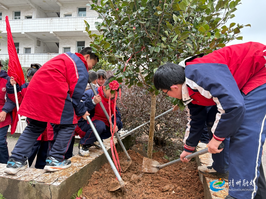 靖州：植树添新绿 共筑生态梦