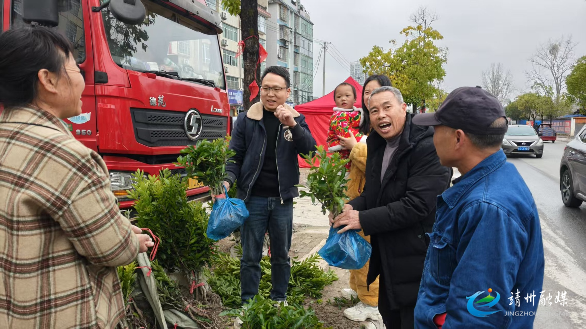 【新春走基层】 靖州苗木市场交易火热 迎来新春开门红