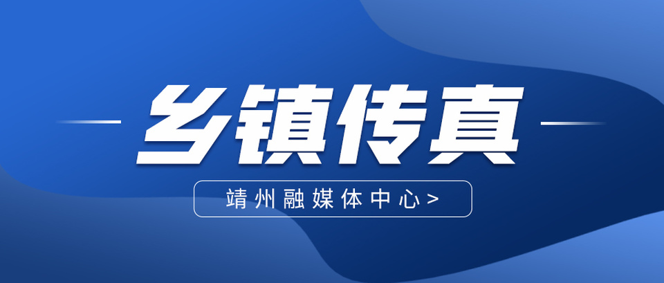 大堡子镇：开展消防防汛综合演练 筑牢安全防线