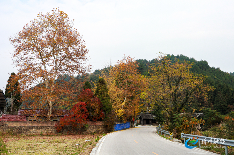 寨牙乡：初冬美景 村庄如画