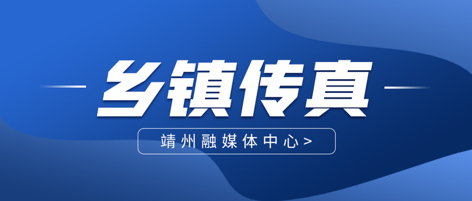 【打造新时代农业产业化“靖州现象”】靖州： 林下经济“小引擎” 增收致富“大能量”