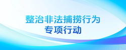 【专题】整治非法捕捞行为专项行动