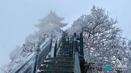 南方也有冰雪仙境！靖州飞山雾凇美如画