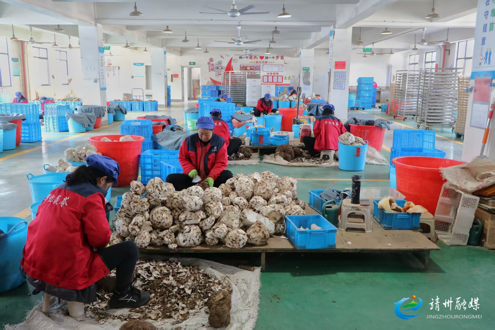 靖州：企业齐发力 抢抓新年“开门红”