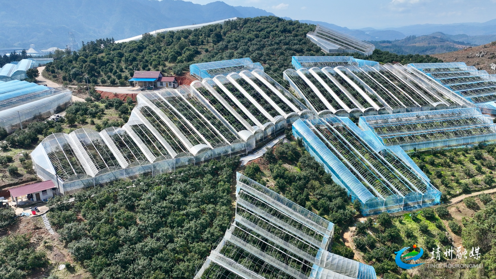 【打造新时代农业产业化“靖州现象”】从凭经验到靠数据 靖州智慧大棚让杨梅抢“鲜”45天上市