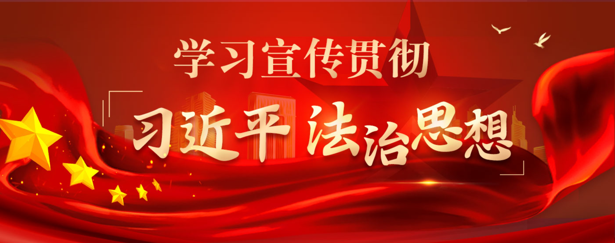 学习宣传贯彻习近平法治思想