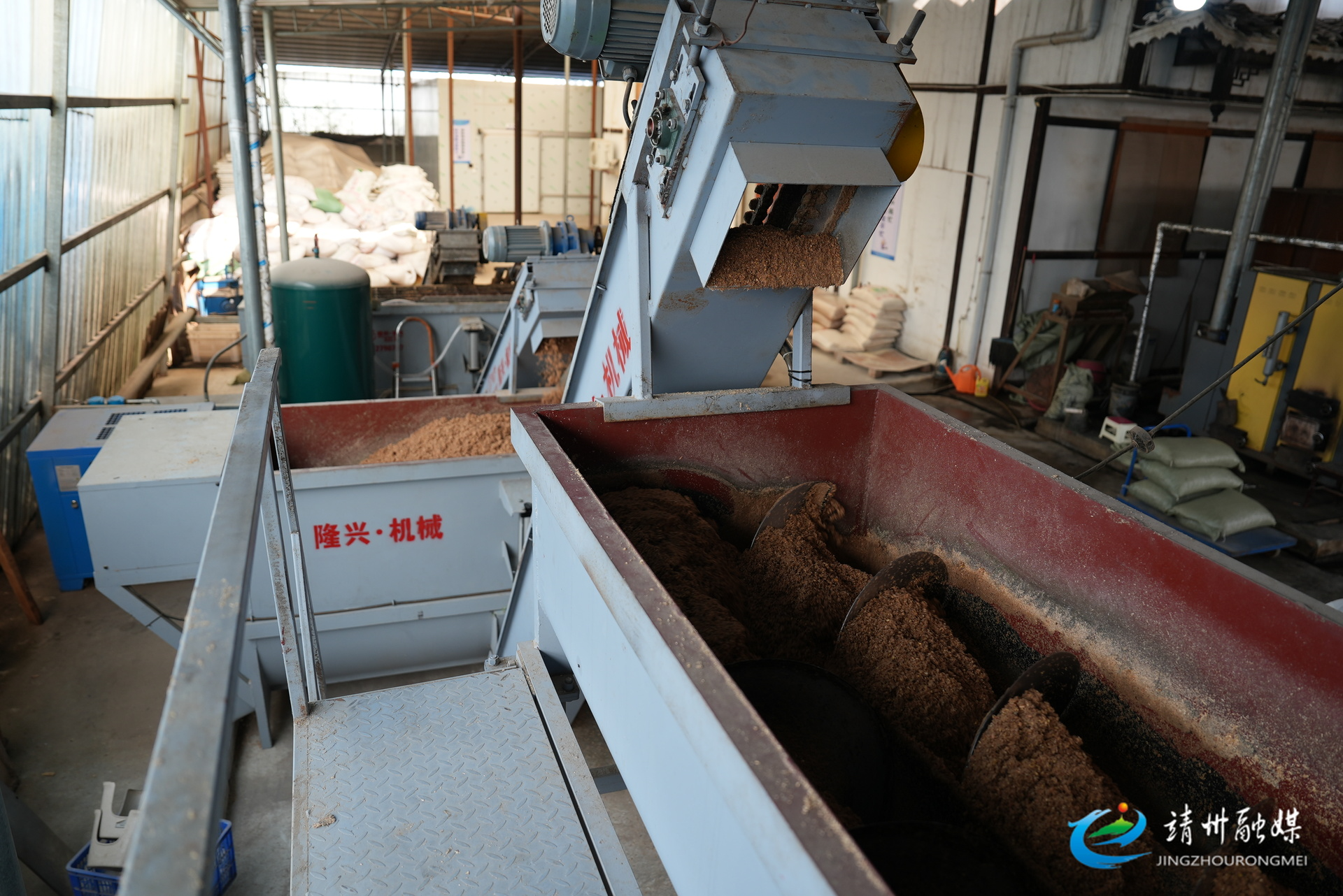【“十五五”开好局起好步】产销火爆！靖州茯苓菌种迎来年度生产销售旺季